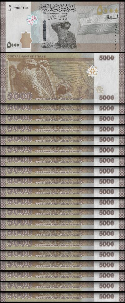 Sy 5000 Pounds 2023, UNC, 20 Pcs LOT, P-118