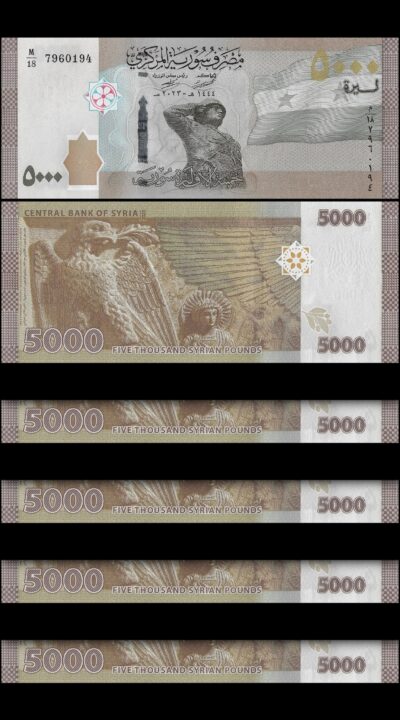 sy_5000_pounds_2023_lot5