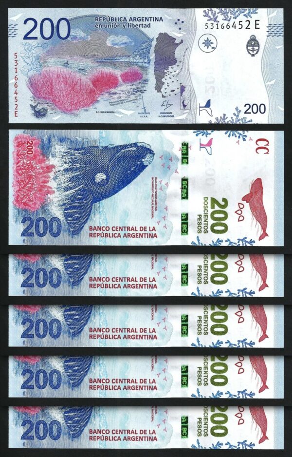Argentina 200 Pesos 2018, UNC, 20 Pcs LOT, P-364, Southern Right Whale, Prefix E - Image 3