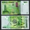 Uganda 5000 Shillings 2019, UNC, 10 PCS Consecutive LOT, P-51 New Sign - Image 4