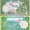 Western Samoa 1 Tala 1980, UNC, 5 PCS Consecutive LOT, P-19 - Image 3