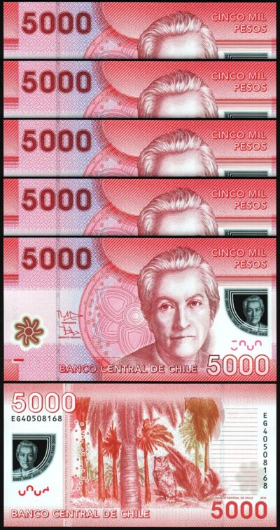 Chile 5000 Pesos 2014, UNC, 5 Pcs LOT, POLYMER, P-163e