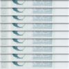 Nagorno Karabakh, Armenia 10 Dram 2004, UNC, 20 Pcs LOT, Consecutive, P-2