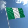 Nigeria 50 Naira 2023, UNC, ½ BUNDLE, Pack of 50 PCS, Consecutive, P-New Polymer - Image 5