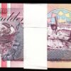 Suriname 100 Gulden 1998, UNC, BUNDLE, Pack of 100 PCS, Consecutive, P-139b - Image 3