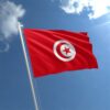 Tunisie Tunisia 5 Dinars 1958, aXF, P-59, With Pinhole, Habib Bourguiba, - Image 4