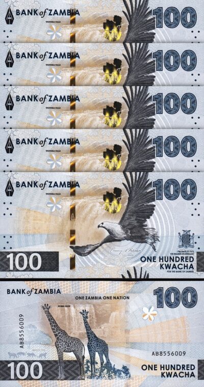 Zambia 100 Kwacha 2024 2025, UNC, 5 Pcs LOT, P-65, New Design, GIRAFFE