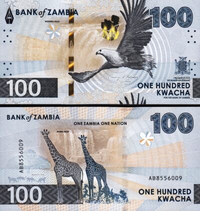 Zambia 100 Kwacha 2024 2025, UNC, P-65, New Design, GIRAFFE