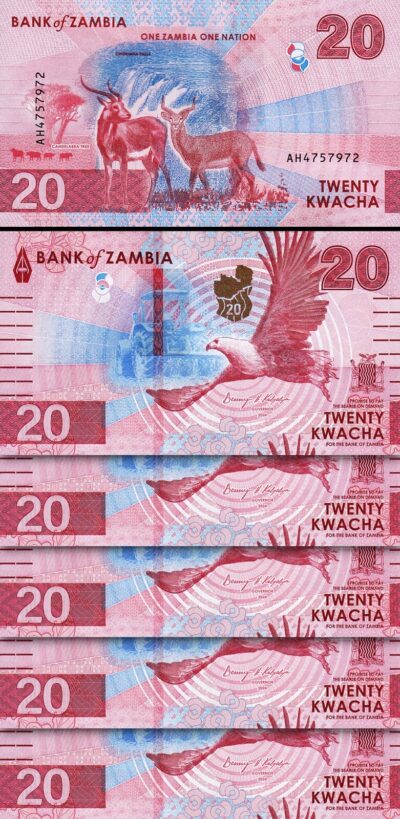 Zambia 20 Kwacha 2024 2025, UNC, 5 Pcs LOT, P-63, New Design, Deer EAGLE