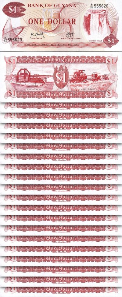 Guyana 1 Dollar 1992, UNC, 20 Pcs LOT, P-21g, S-9