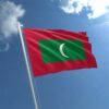 Maldives 20 Rufiyaa 2015, UNC, 20 Pcs LOT, Consecutive, P-27, Polymer, Prefix C - Image 5
