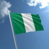Nigeria 10 Naira 2021, UNC, ½ BUNDLE, Pack of 50 PCS, Consecutive, Polymer,P-New - Image 5