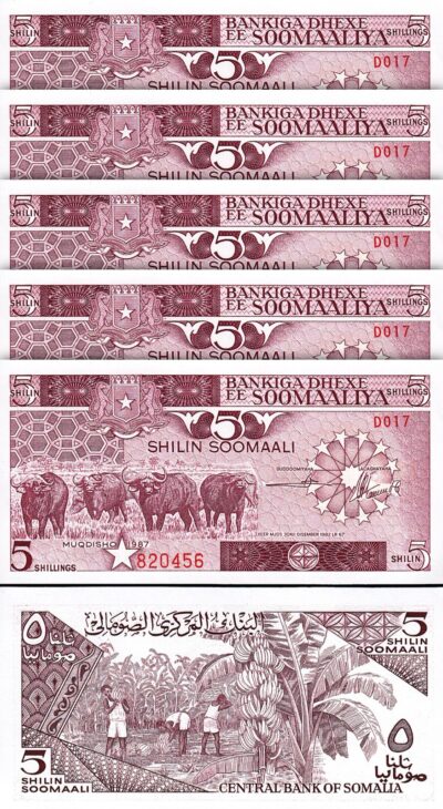 Somalia 5 Shillings 1987, aUNC/UNC, 5 Pcs LOT, Consecutive, P-31c, Buffalo