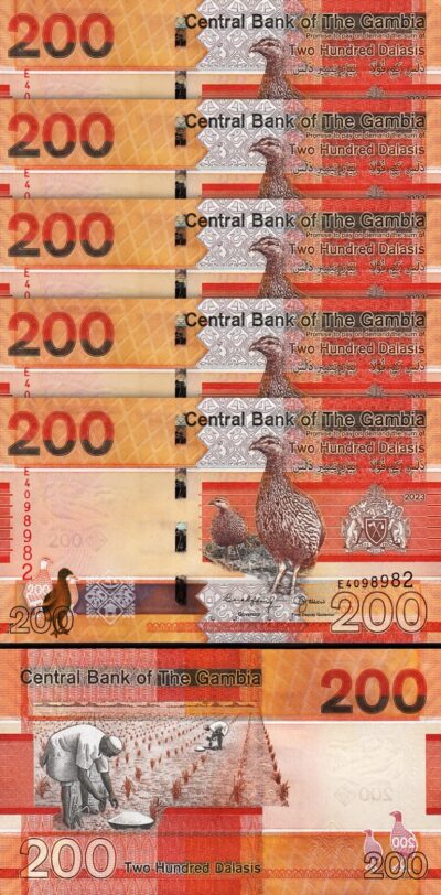 Gambia 200 Dalasis 2023 (2024), UNC, 5 Pcs LOT, Consecutive, P-42c