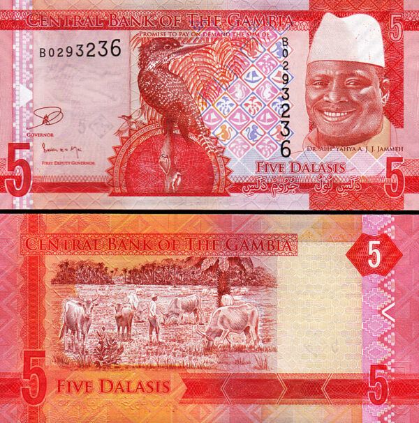 Gambia 5 Dalasis 2015, UNC, 10 Pcs LOT, Consecutive, P-31 - Image 3