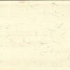 Germany SPECIMEN, Travellers Cheque , 100 Marks, UNC, With Watermark - Image 3
