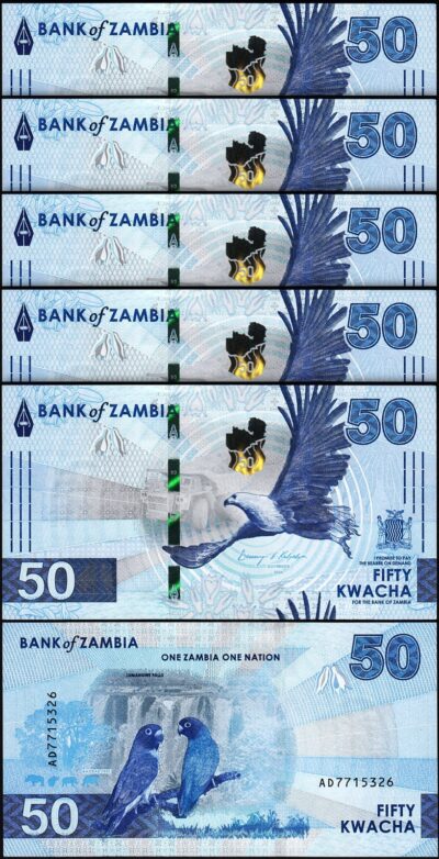Zambia 50 Kwacha 2024 2025, UNC, 5 Pcs LOT, P-64, New Design, BIRDS