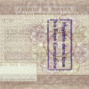France, Travellers Cheque Societe Generale, 250 Francs with 2 WATERMARK - Image 3