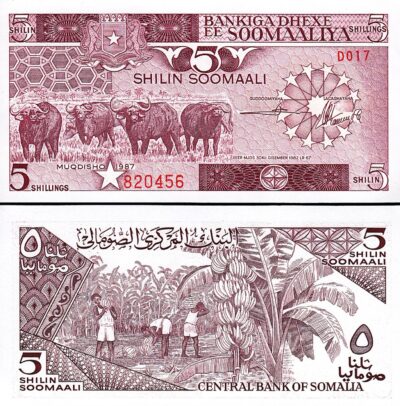 Somalia 5 Shillings 1987, aUNC, P-31c, Buffalo, Banana Harvest
