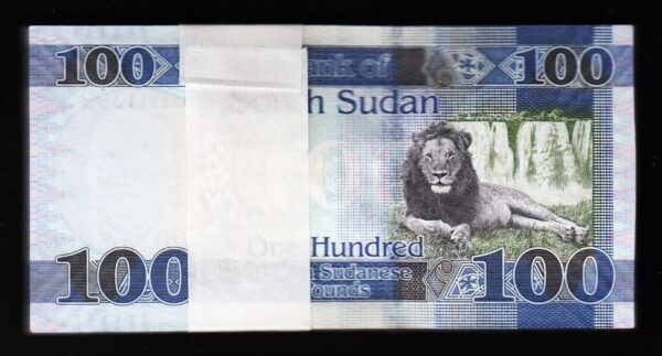 South Sudan 100 Pounds 2019, UNC, BUNDLE, Pack of 100 Pcs, Consecutive, P-15d - Image 3