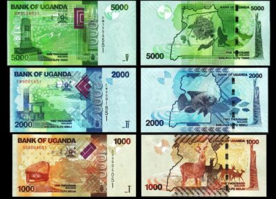 Uganda 3 Pcs UNC Set, 1000 2000 5000 Shillings 2024 2025, P-49 50 51