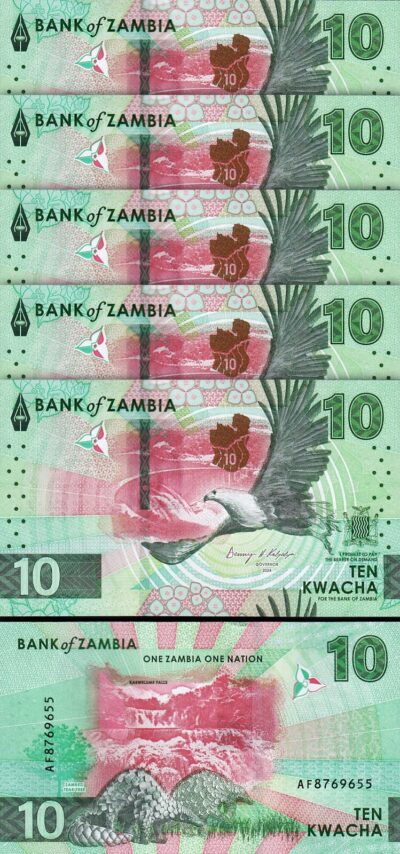 Zambia 10 Kwacha 2024 2025, UNC, 5 Pcs LOT, P-62, New Design, Pangolins EAGLE