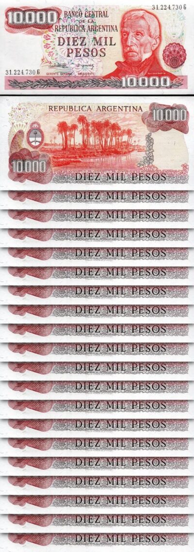 Argentina 10000 10,000 Pesos, 1976 - 1983, UNC, 20 Pcs Consecutive LOT, P-306b