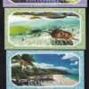 BARBUDA 5 x 6 PCS SET 1 2 5 10 20 50 $ UNC 2019 HYBRID POLYMER QEII (30 PCS) - Image 3