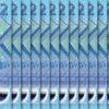 Barbados 2 Dollars, 2022, UNC, 20 Pcs LOT, Consecutive, Polymer, P-80