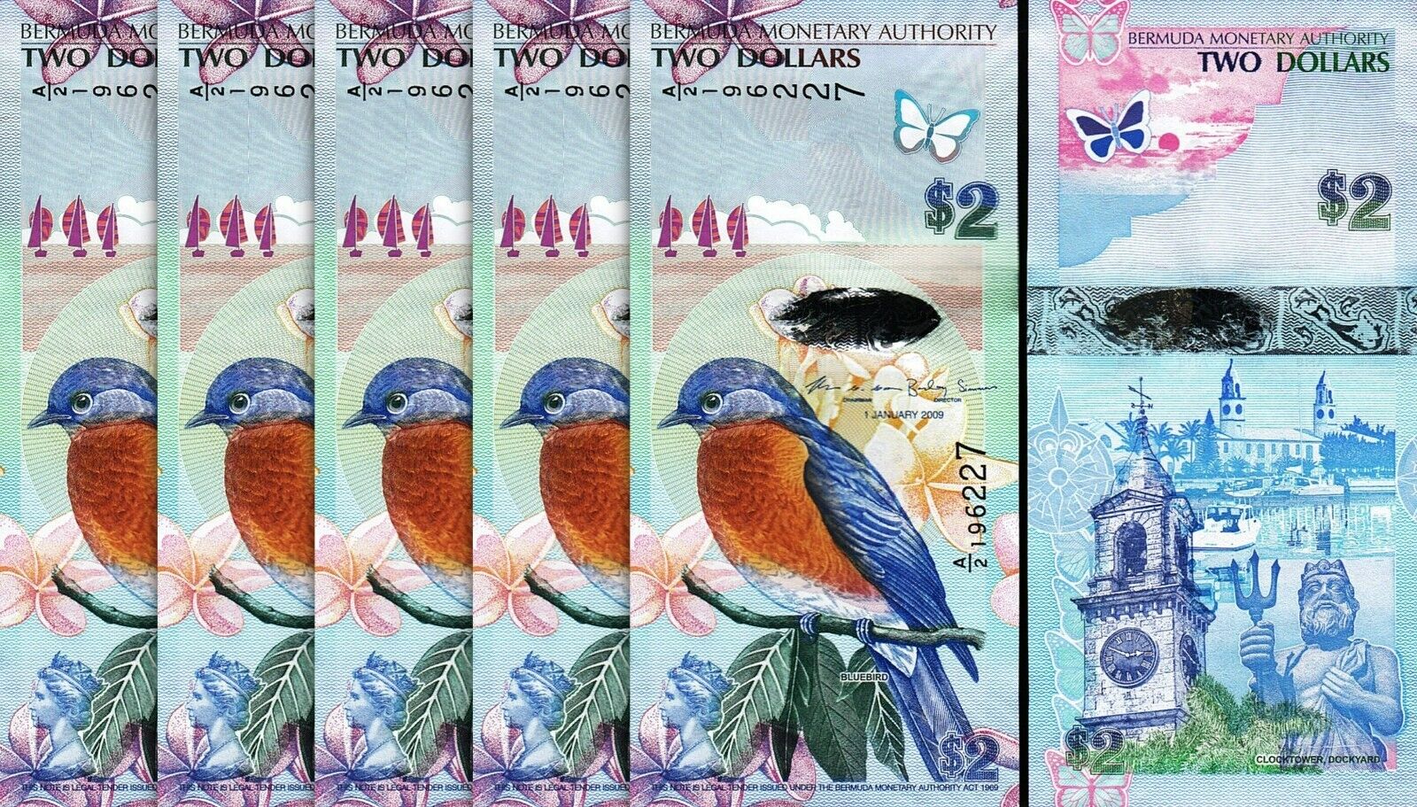 Bermuda 2 Dollars 2009, UNC, 5 PCS Consecutive LOT, Bluebird and Flowers,  P-57c – Fortumor Numismatic Center