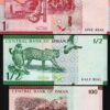 Oman 3 Pcs SET, 100 Baisa 1/2, 1 Rials 2020 2021, UNC, P-New Design, Last 2 Same - Image 3