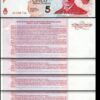 Argentina 5 Pesos 30-9-2006, AU / UNC, 5 PCS LOT, Lecop Emergency