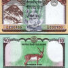 Nepal 5 Pcs Set, 5 10 20 50 100 Rupees 2019 2020, UNC, P-76 77 78 79 80 - Image 6