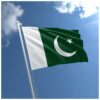 Pakistan 10 Rupees 2022, UNC, BUNDLE, Pack of 100 PCS, Consecutive, P-NEW - Image 5