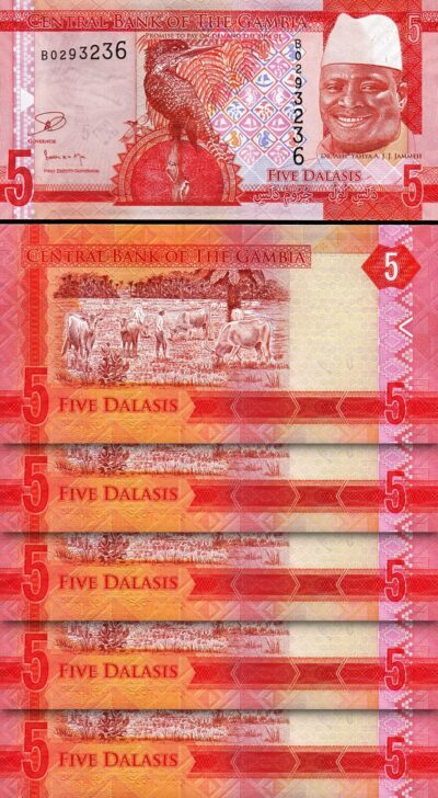 Gambia 5 Dalasis 2015, aUNC, 5 Pcs LOT, P-31