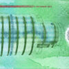 Maldives 50 Rufiyaa 2015, RADAR 065560, UNC, P-28, Polymer - Image 3