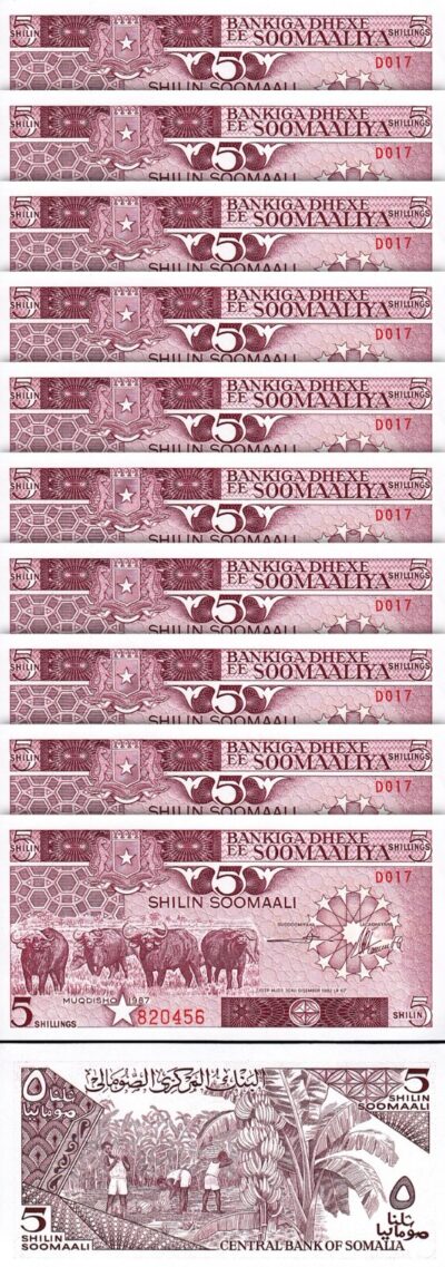 Somalia 5 Shillings 1987, UNC, 10 Pcs LOT, Consecutive, P-31c, Buffalo