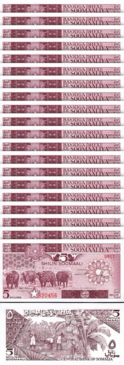 Somalia 5 Shillings 1987, UNC, 20 Pcs LOT, Consecutive, P-31c, Buffalo