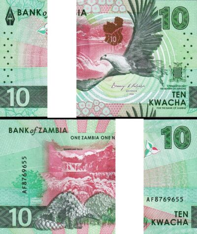 Zambia 10 Kwacha 2024 2025, UNC, BUNDLE Pack of 100 PCS, P-62, Pangolins EAGLE