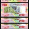 Central African St. 2000 Francs 2020 2022, UNC, 5 PCS LOT, Hybrid Polymer, P-702