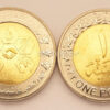 EGYPT, 25 x Coins with ROLL 1 Pound 2022, People with Disabilities, UNC BIMETAL - Image 3