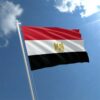 Egypt 50 Piastres 2017, UNC, ½ BUNDLE, Pack of 50 PCS, Consecutive, P-76 New - Image 5