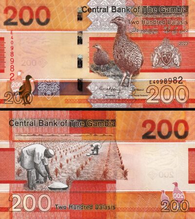 Gambia 200 Dalasis 2023 (2024), UNC, P-42c