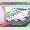 Jamaica 50 Dollars 2002, RADAR 153351, AU-UNC, P-79c - Image 3